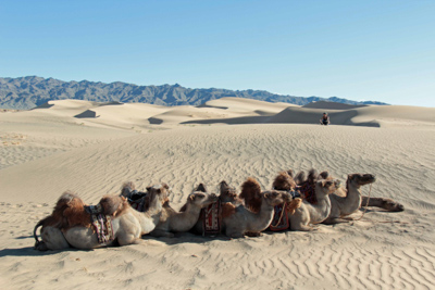 Bericht Mongolei 5